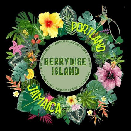 Berrydise Island JA